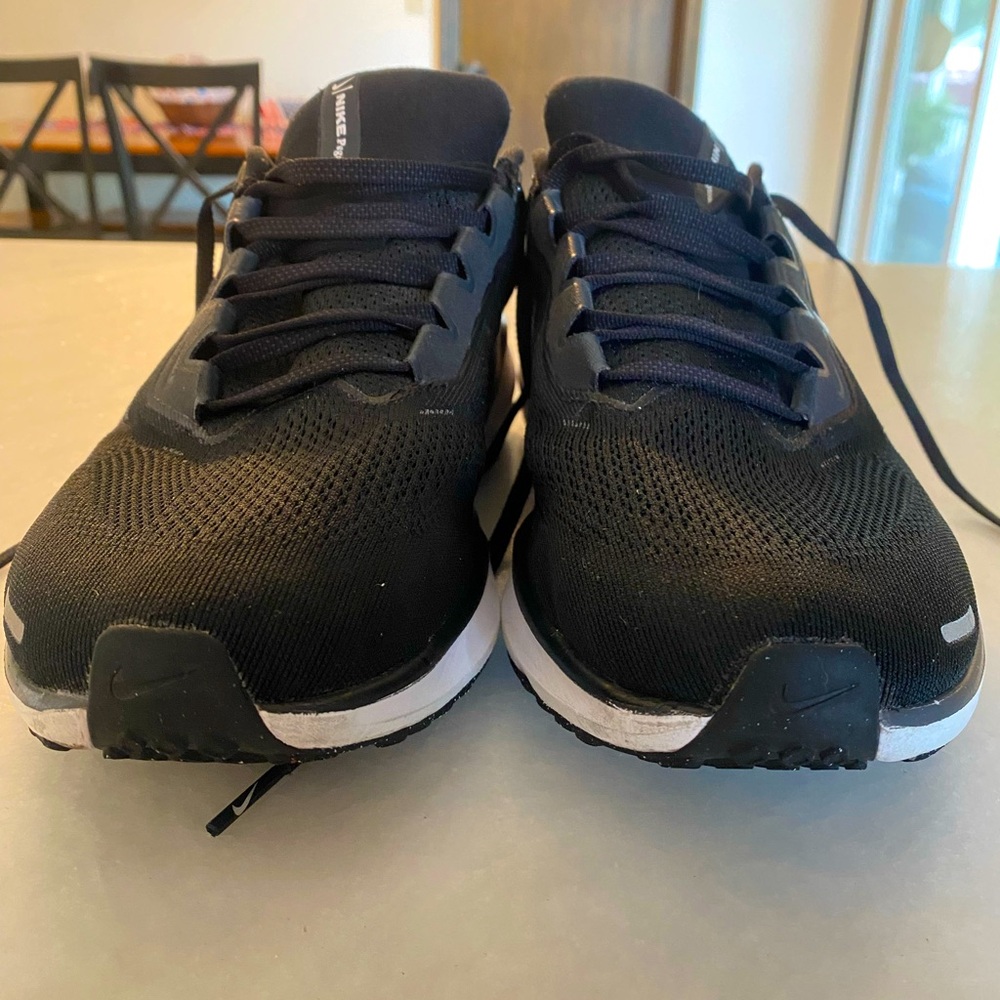 Nike Air Zoom Pegasus 41